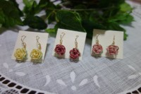 /album/gallery/dsc00899-jpg1/