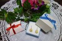 /album/gallery/dsc00904-jpg1/