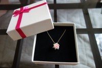 /album/gallery/dsc00784-jpg1/