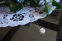 /album/gallery/dsc00946-jpg/